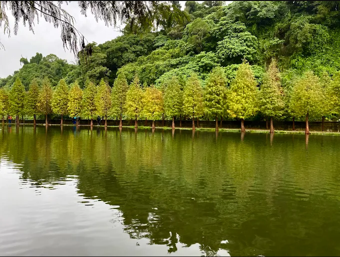 桃園景點一日遊：大溪古韻與自然風光之旅